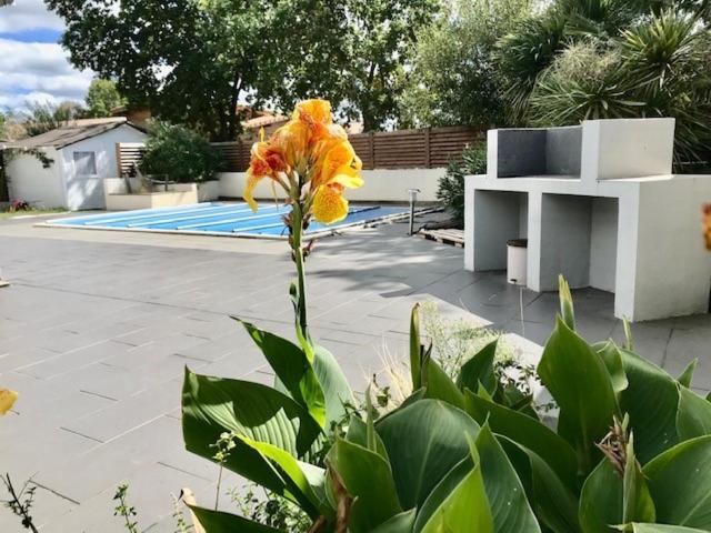 Maison Piscine 4 Ch Carcans Medoc Bassin Arcachon Exterior photo